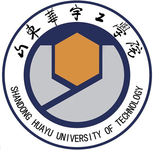 山东华宇工学院